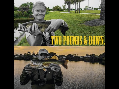 2Lb's and Down ( Most Fish Caught in one video)
