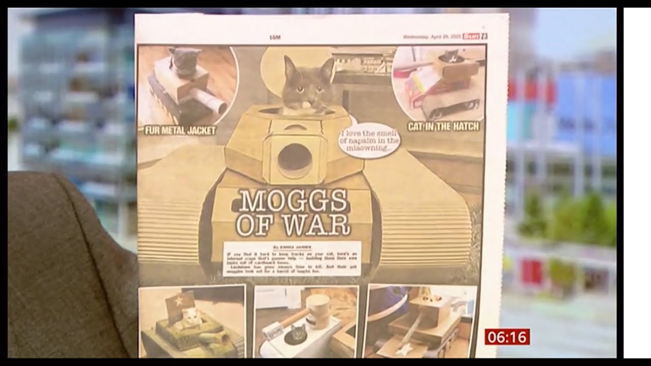 Coronavirus (Covid-19) Moggs of war & wine wastage (Global) - BBC News - 29th April 2020