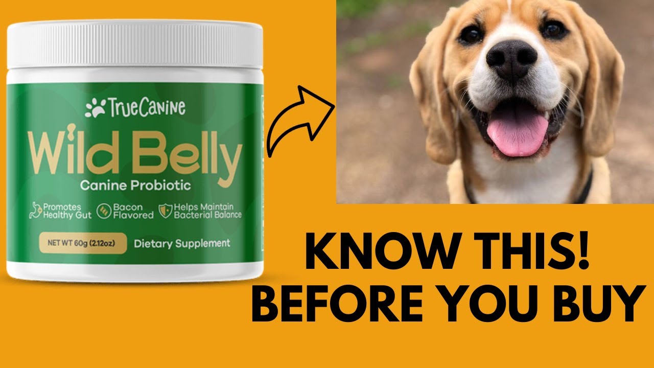 (TRUE CANINE) Wild Belly Dog Probiotic Review- Wild Belly Honest Review, Does Wild Belly Work?