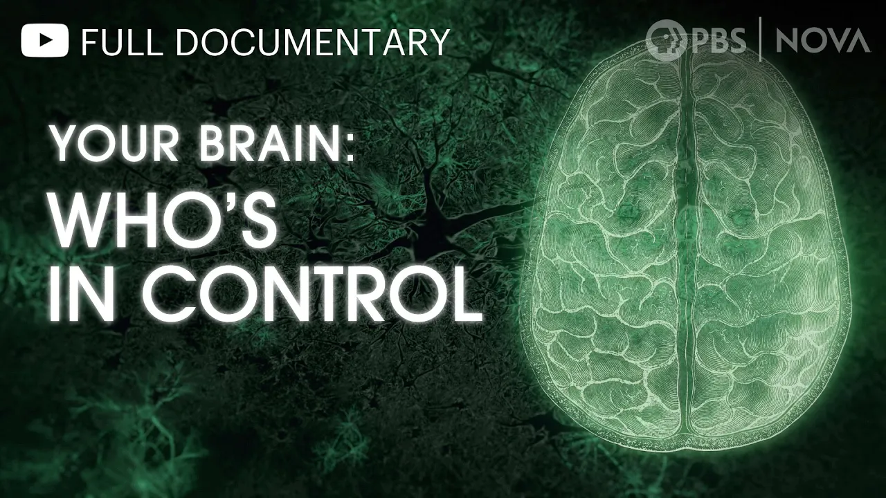 Your Brain: Who's in Control? | Full Documentary | NOVA | PBS