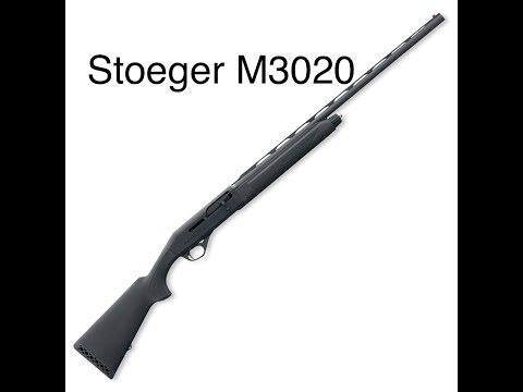 Stoeger M3020 Trigger Group Disassembly and Reassembly