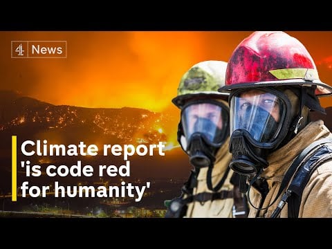 Some climate changes now irreversible, says stark UN report