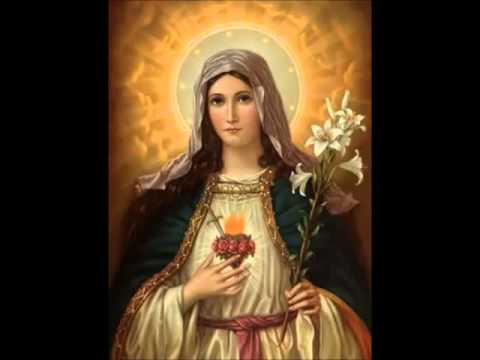 Our Lady and the Advancement in Holiness ~ Fr Ripperger