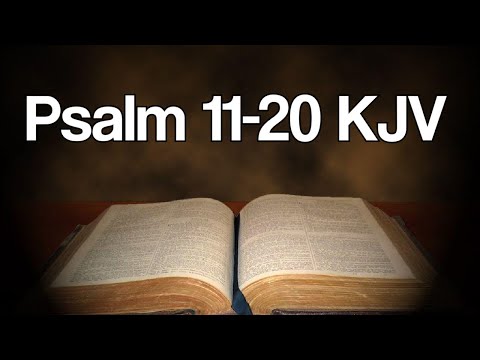 Psalm 11 20 KJV