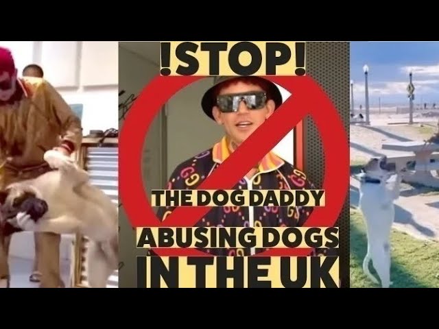 Zak George versus the Dog Daddy - Protest Update