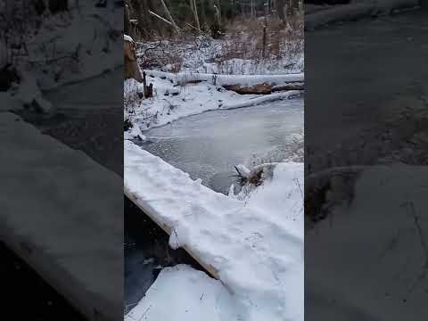 Frozen Stream at 9°