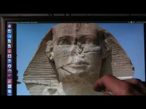 Mudfossil Head tells tale of the Sphinx