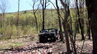 MVI_3123.MOV