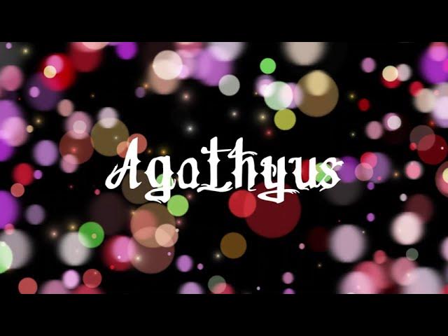 Agathyus ¦ Der Real (offizielles lyrik-audio)