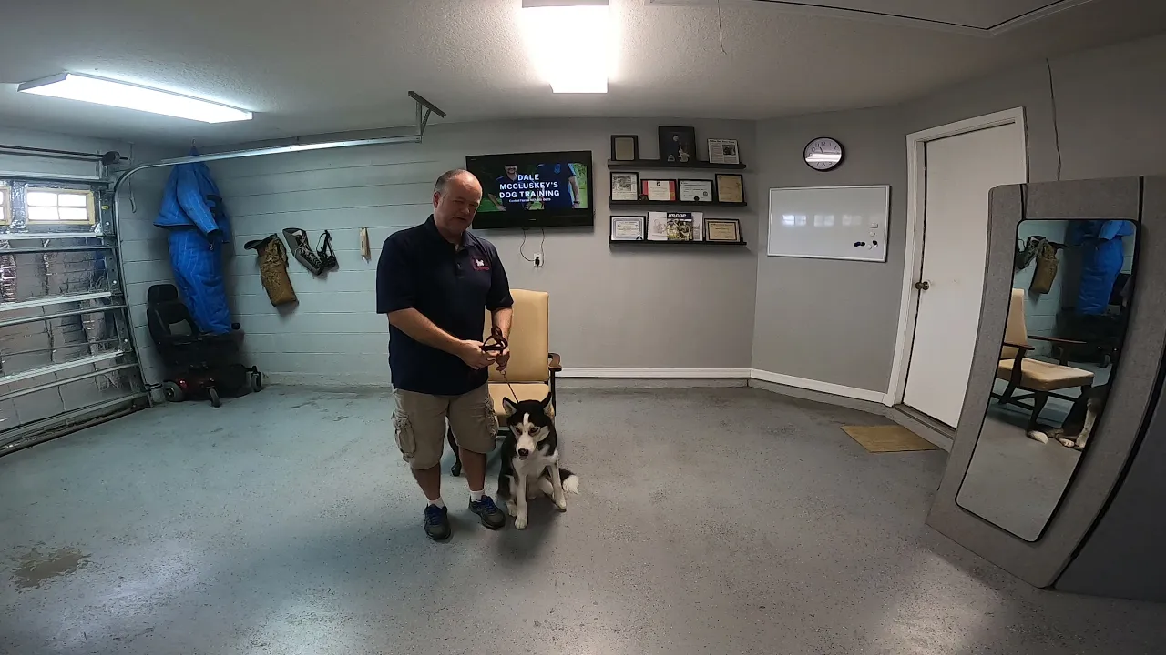 Board and Training - Kira - Day 4 - Hang Out Exercise - Pt 2