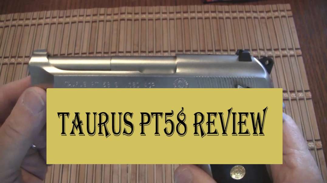 Taurus PT 58 SS Review Stainless Steel 380 with Class