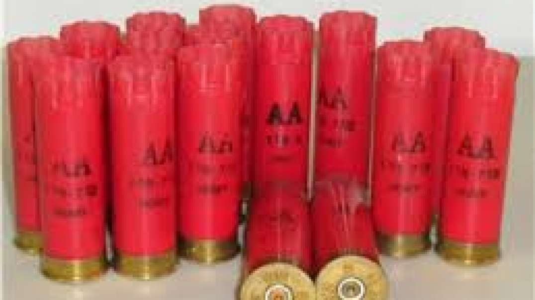 Reloading Winchester AA Hauls