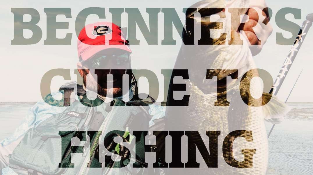 Beginner Fishing - Where to Start