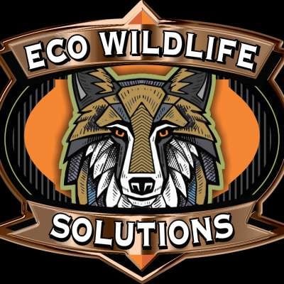 Eco Wildlife Solutions Chris Sims