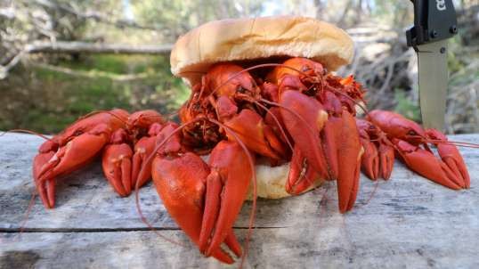 Making a Crawfish Sandwich - Catch n' Cook Craws by Hand!