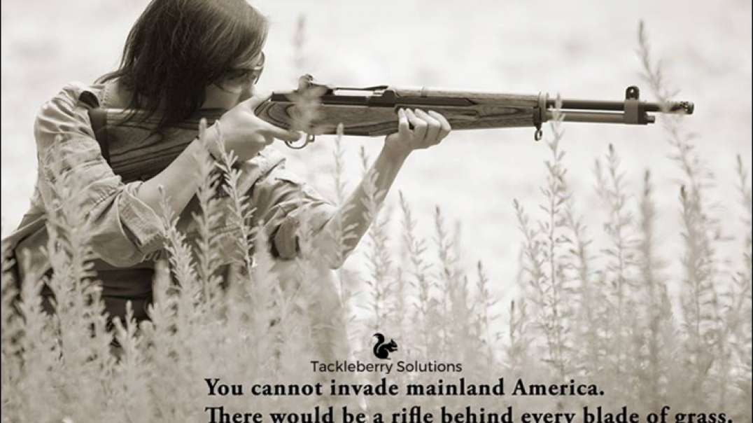 How disarming the American public would result in WWIII Video #1