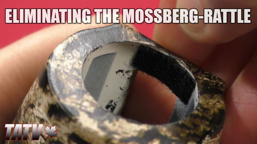 Eliminating the Mossberg Rattle