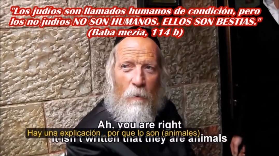 JUDÍOS ortodoxos hablando sobre ti GOYIM (TALMUD)
