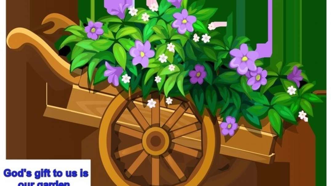 GARDENING:  tour my garden