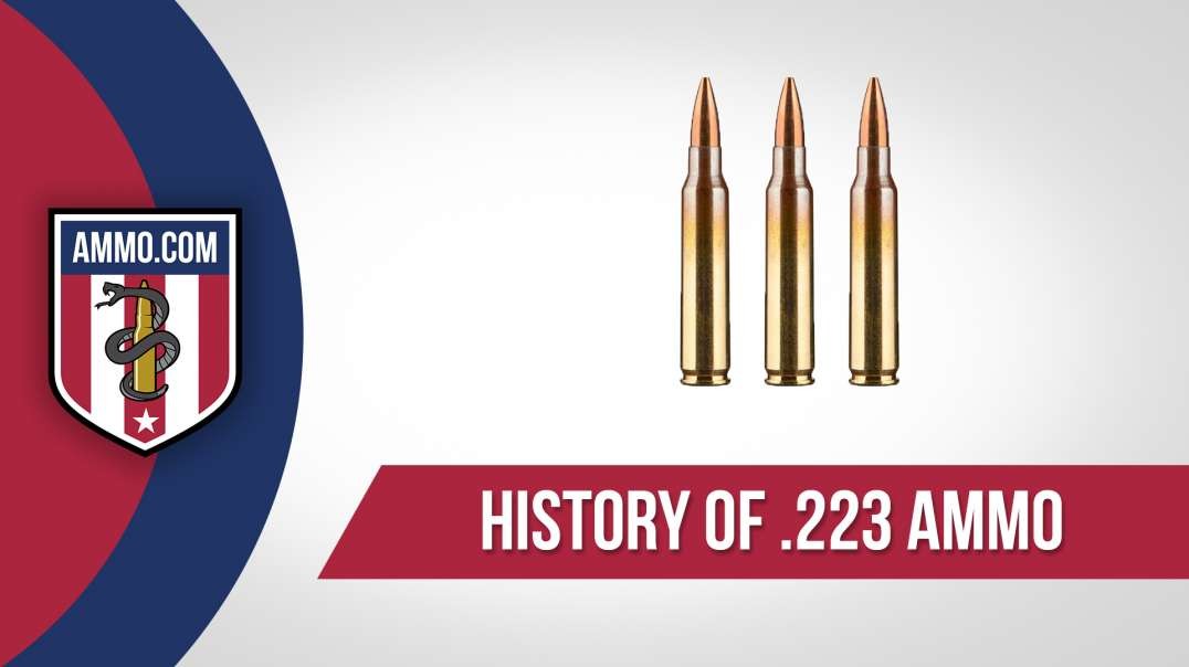 Rifle Ammo History