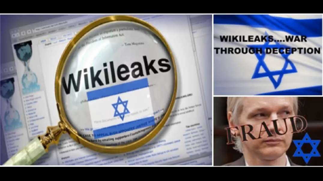Wikileaks es una disidencia controlada