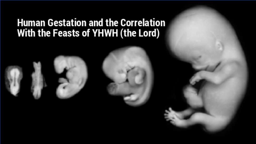 Human Gestation and Its Correlation With the Feasts of YHWH (the Lord)