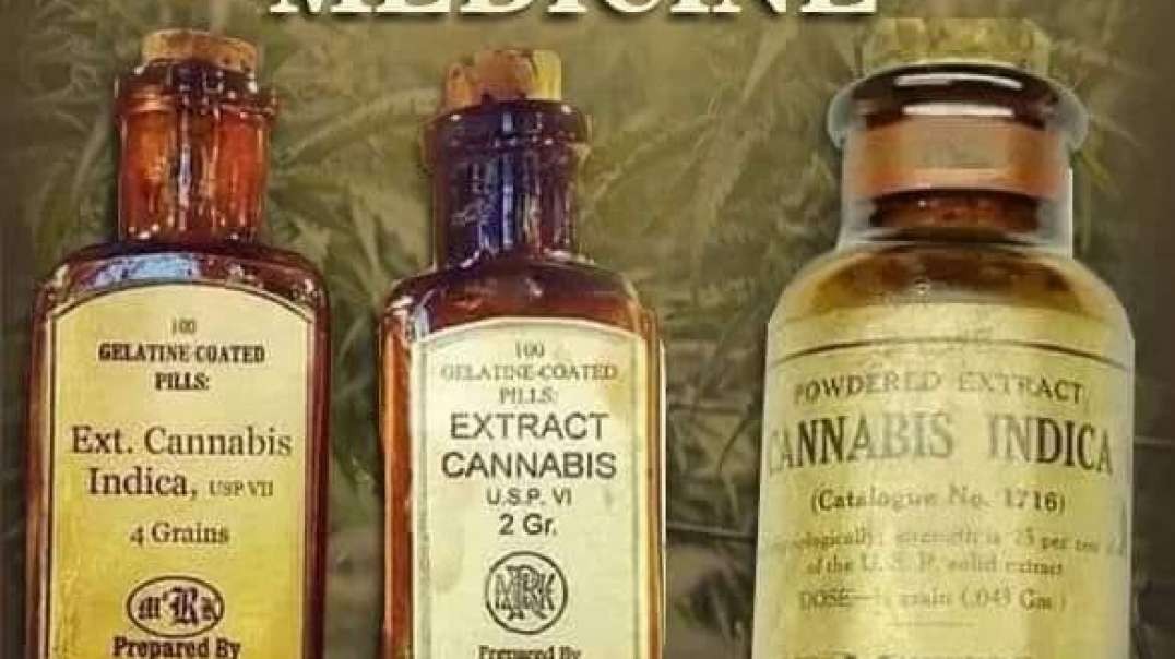 Federal Marijuana Patient Shows Us His Government Weed Stash
