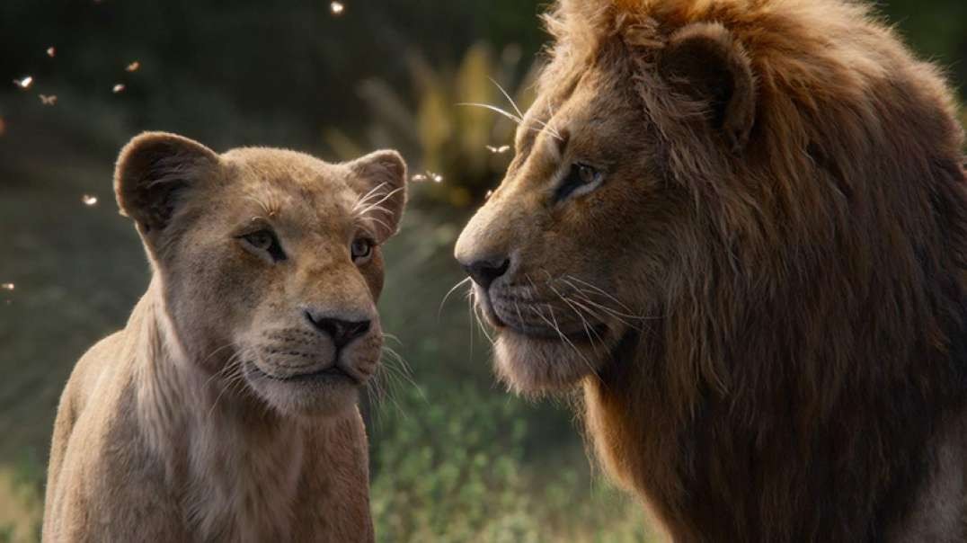 Beyoncé and Donald Glover in The Lion King FULL STREAMING MOVIE '2019