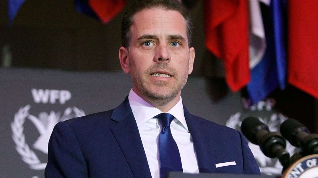 DNA test shows Hunter Biden fathered child, he denies & took the test to prove he was right