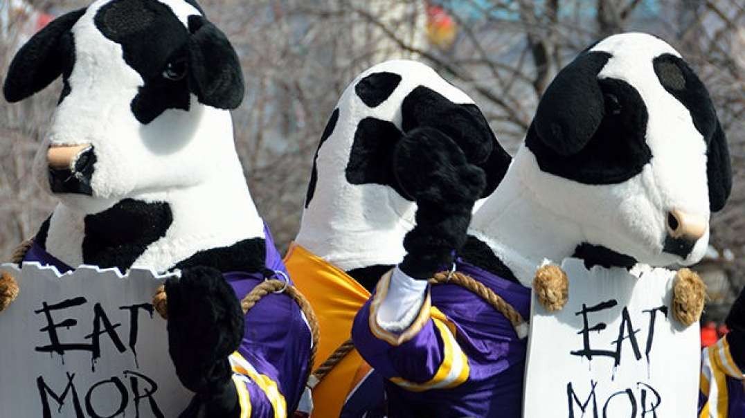 5 REPORTS- Chick Fil A, coup,do away with conservatives,Nazis