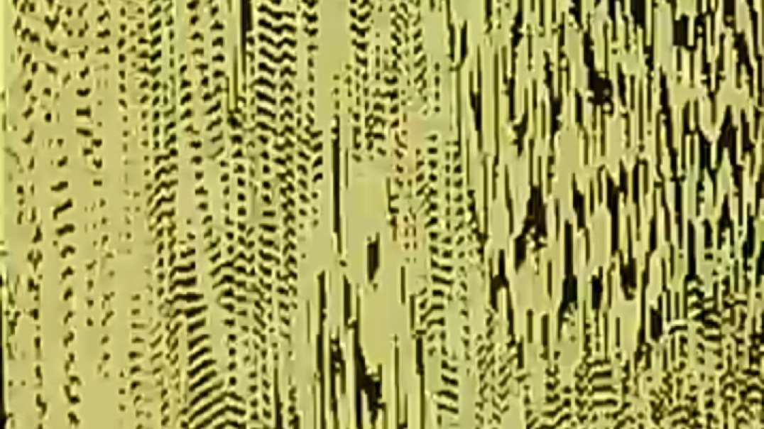 They are trying to make an ARMY of ROBOTS(360P).mp4
