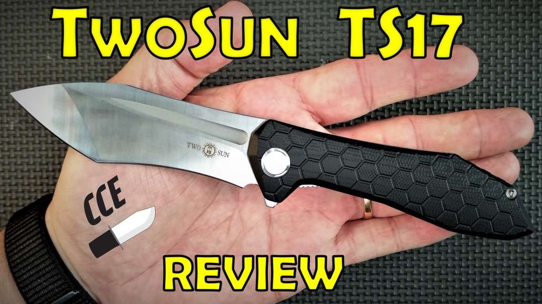 Review: TwoSun TS17 (G10 handle - D2 steel)