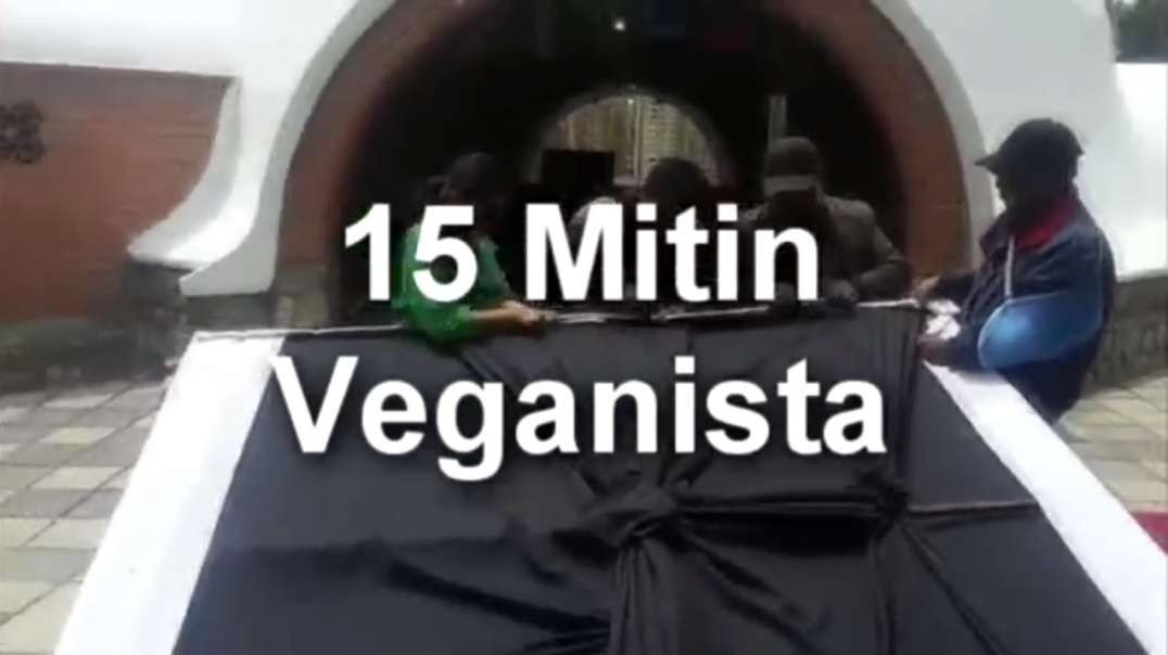 15 MITÍN VEGANISTA - 2017- INICIATIVA DE CUADROS POLÍTICOS