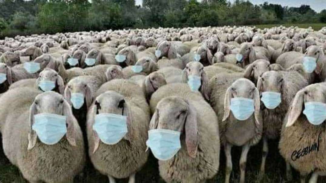 Coronavirus Analysis,  This Isn't the Storm, But a Test Run
