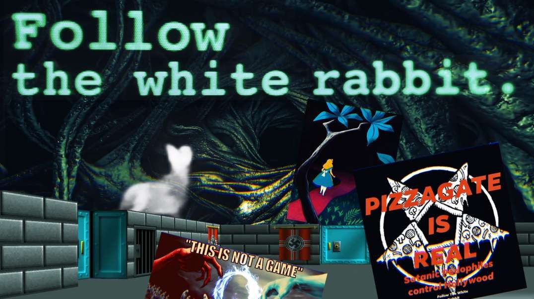 Follow the White Rabbit