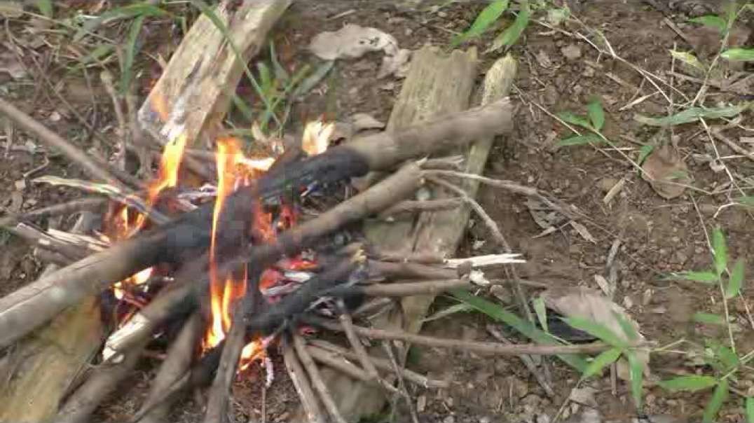 BlindOwl Bushcraft and Survival Introduction Video Nothing Better Than A Fire