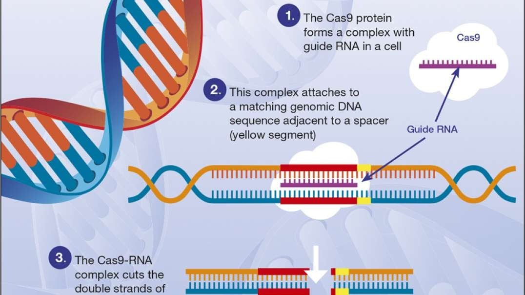 What is CRISPR ?
