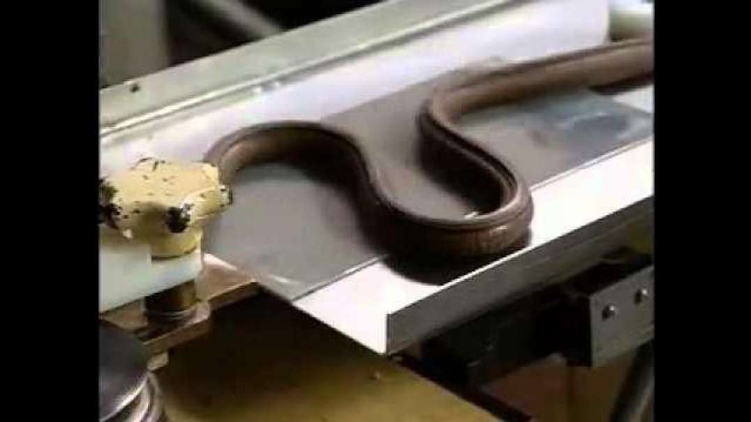 ABCNews Made In USA Tootsie Roll Factory 1995