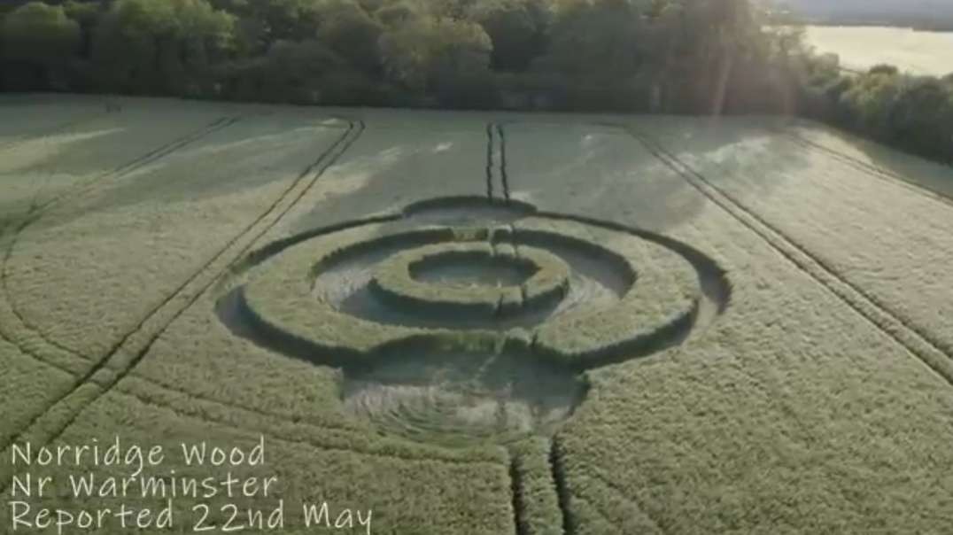 19 UK Crop Circles of 2019 Compilation.mp4