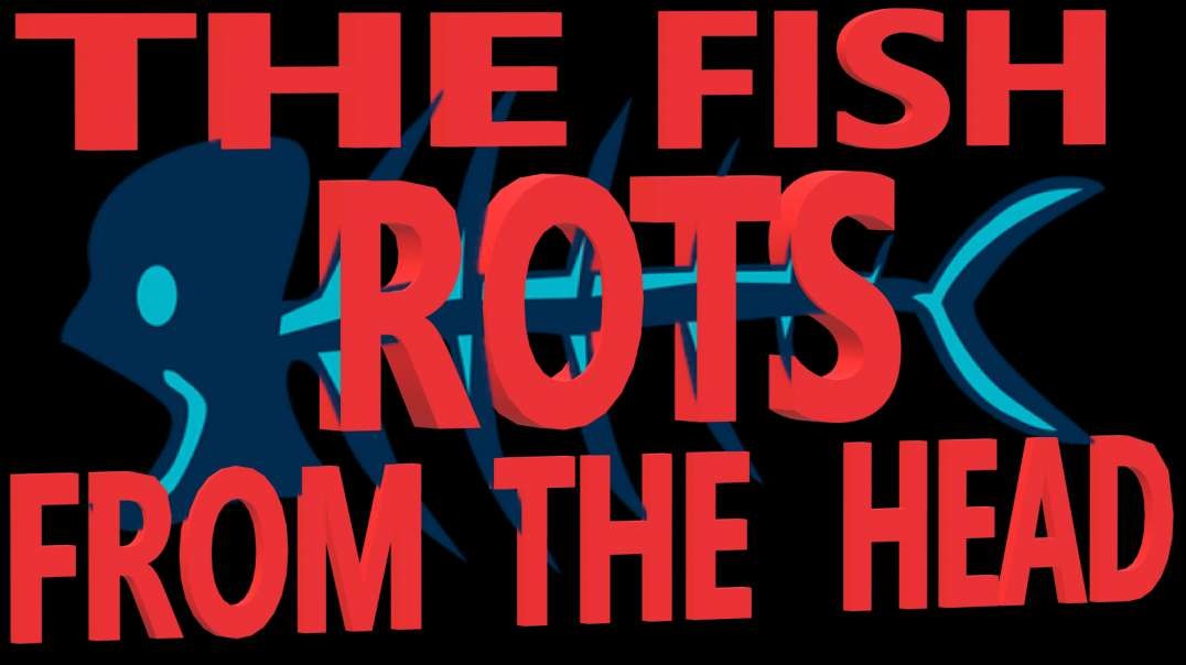 ION US - The Fish Rots From The Head 2020-05-13.mp4