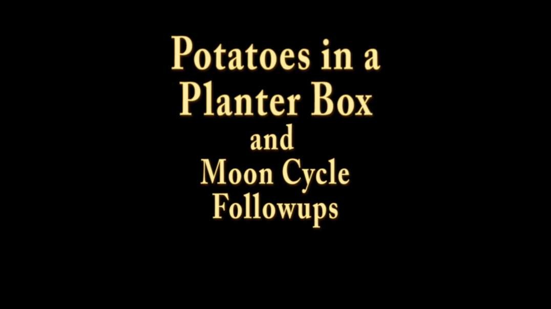 Planter Potatoes and Moon Cycle Followup