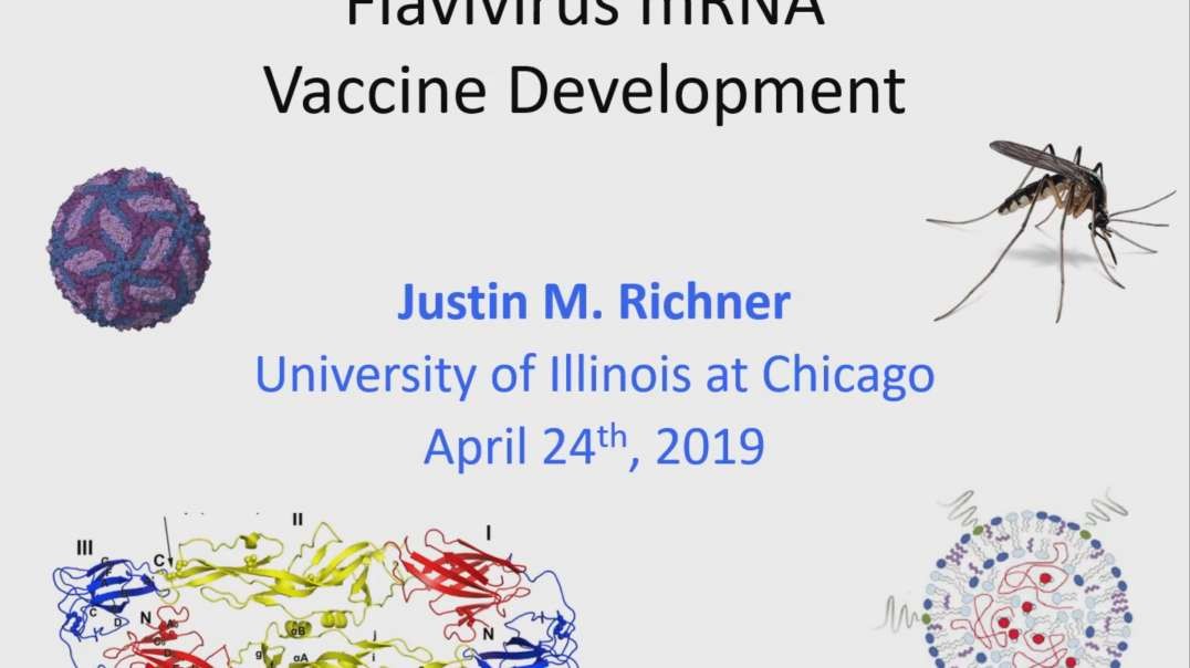 Advances in mRNA Vaccine Therapies in Infectious Diseases Dr- Justin Richner.mp4