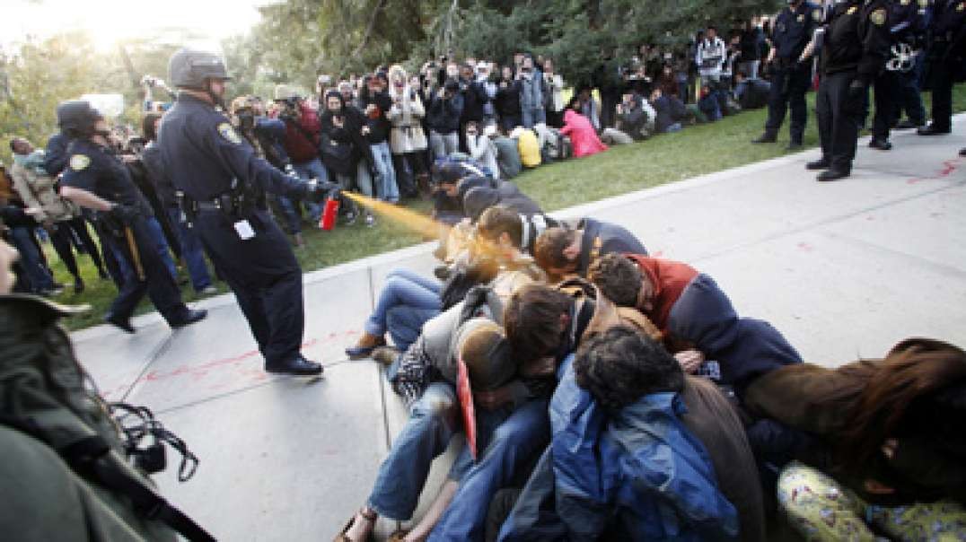 Quit Rioting, it Does’t Work, Engage in The Fiscal Revolution, Fire Incumbents, BDS Globalist Corps