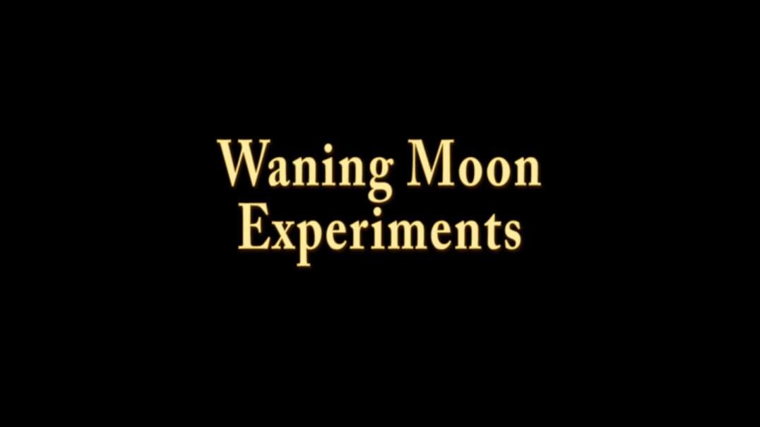 Waning Moon Experiments.mp4