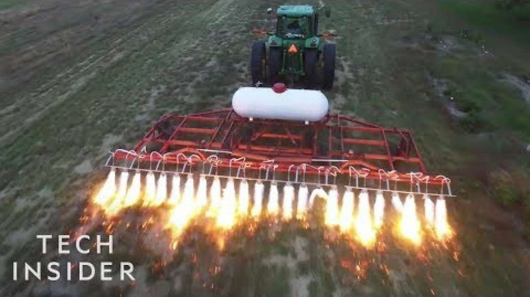How These Flame-Throwing Tractors Kill Weeds.mp4
