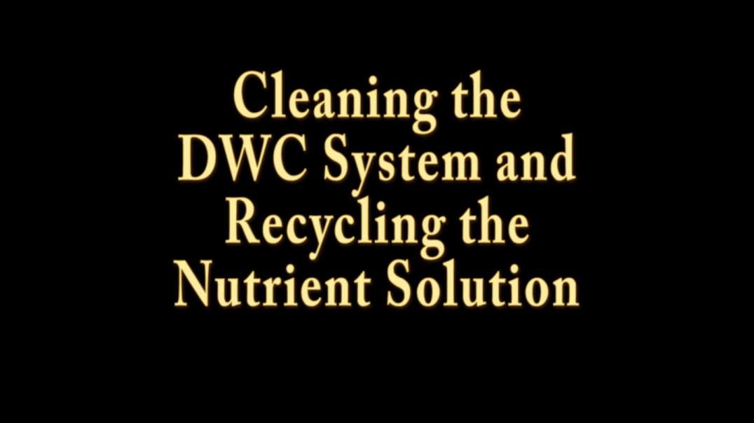 Clean System Recycle Nutrient Solution.mp4