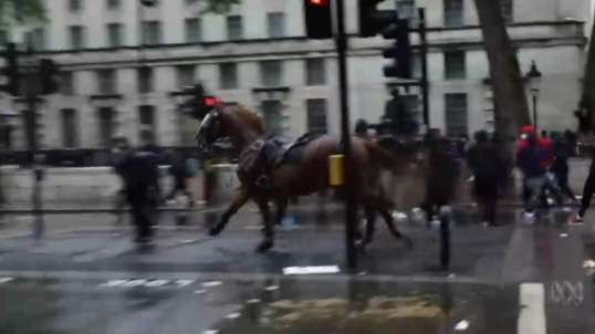 BLM CHEER as police officer knocked from horse London UK 6-6-2020