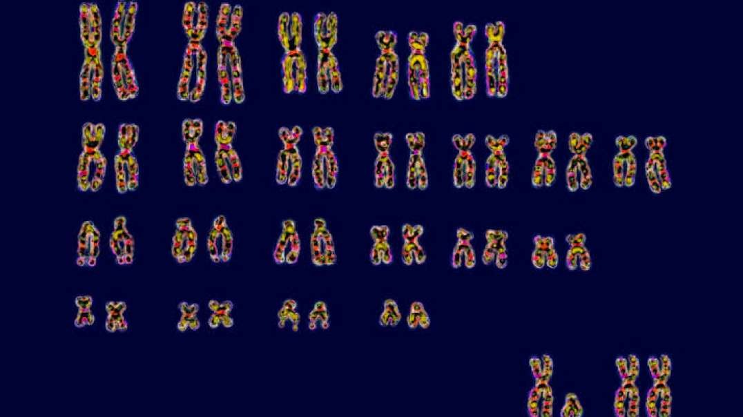 FAKE PANDEMIC CLARIFIED - Chromosome 8 w- David Icke and Dr. Kaufman.mp4