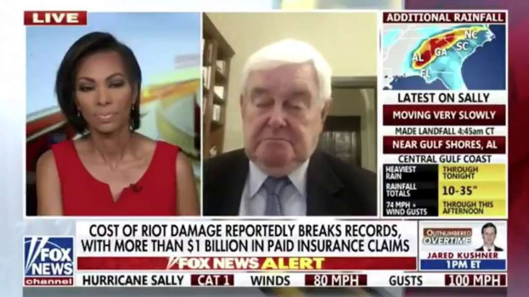 Fox News panel melts down when Gingrich calls out Soros