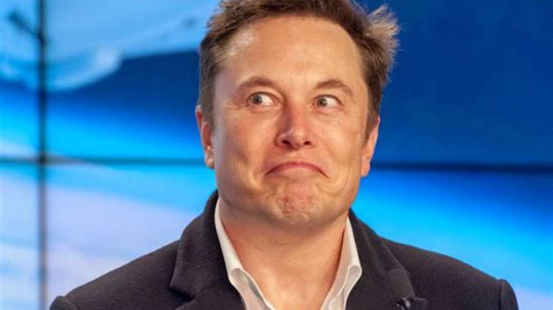The moment Elon musk realized how dumb the public is